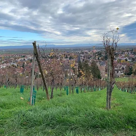 Super Avec Balcon Renove En 2022 Apartament *